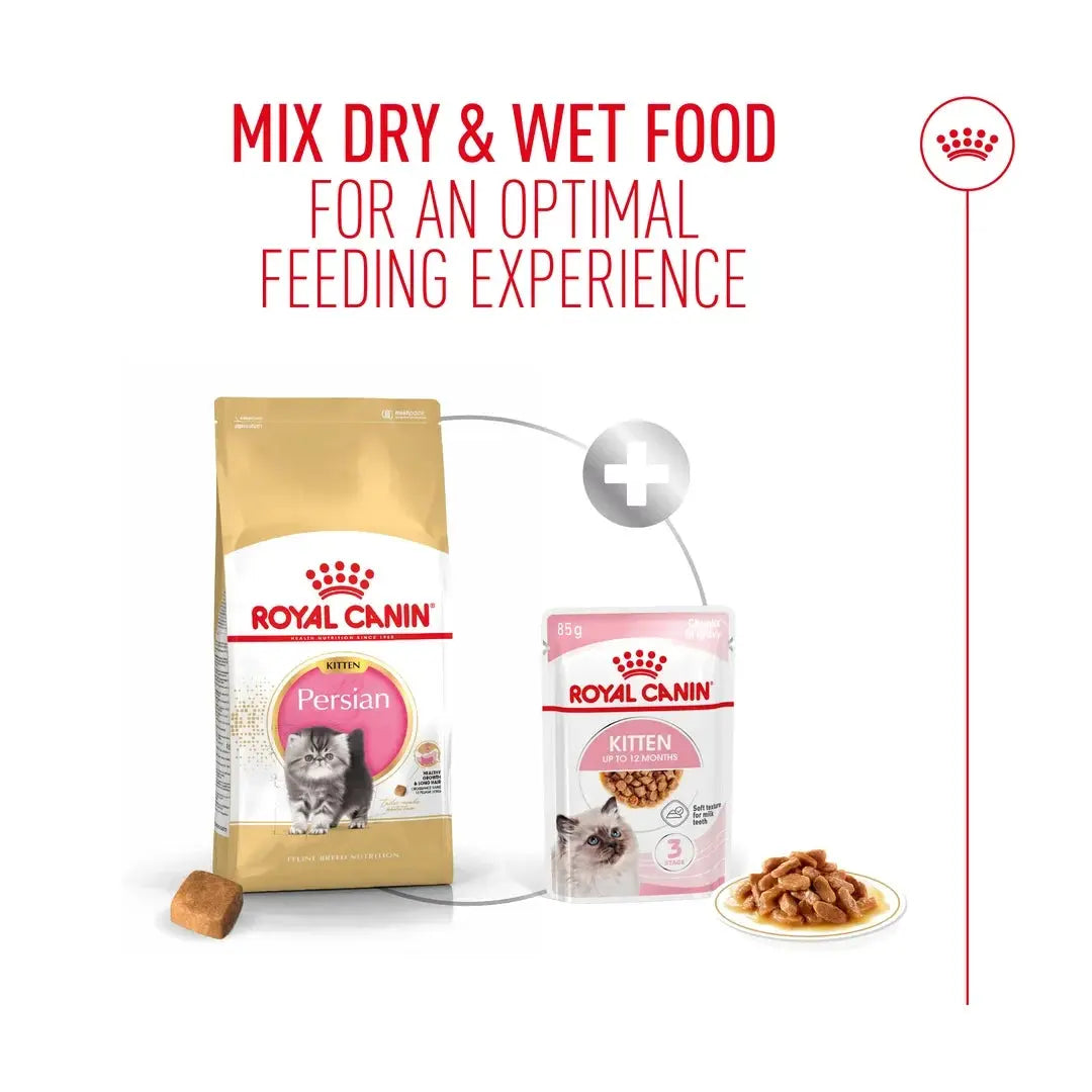 Royal Canin Persian Kitten Dry Cat Food
