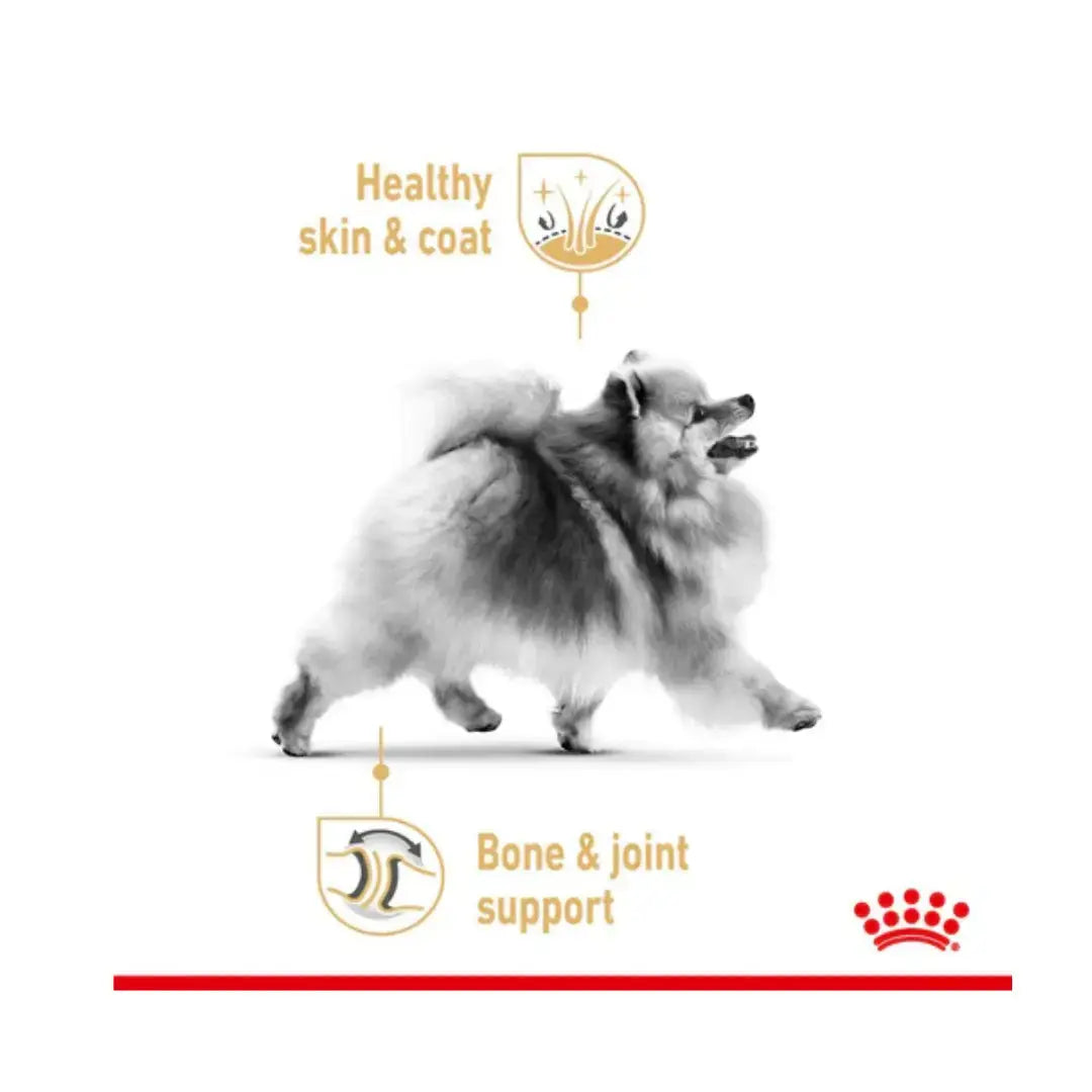 Royal Canin Pomeranian Adult Dry Dog Food   | Canine & Co