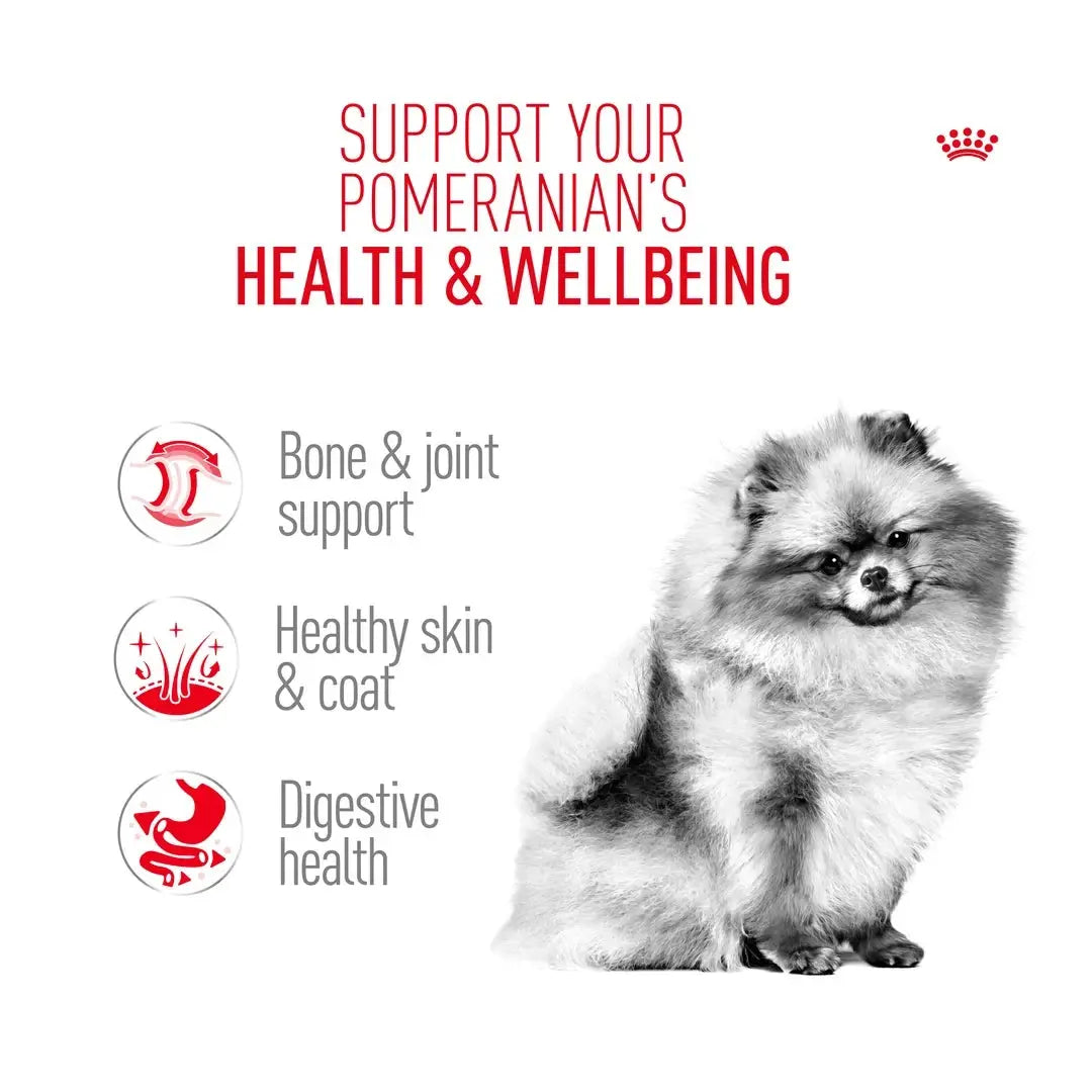 Royal Canin Pomeranian Adult Wet Dog Food Pouch