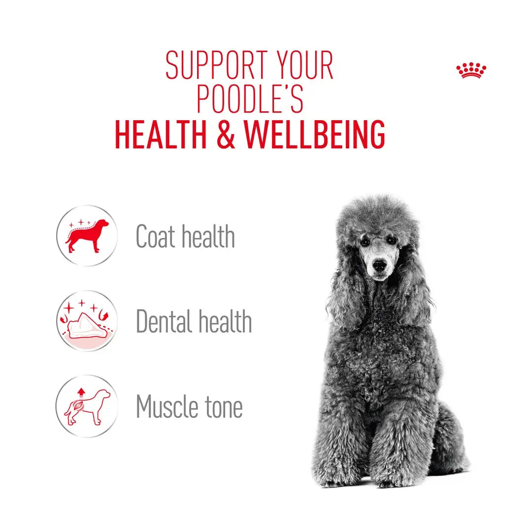 Royal Canin Poodle Adult Dry Dog Food