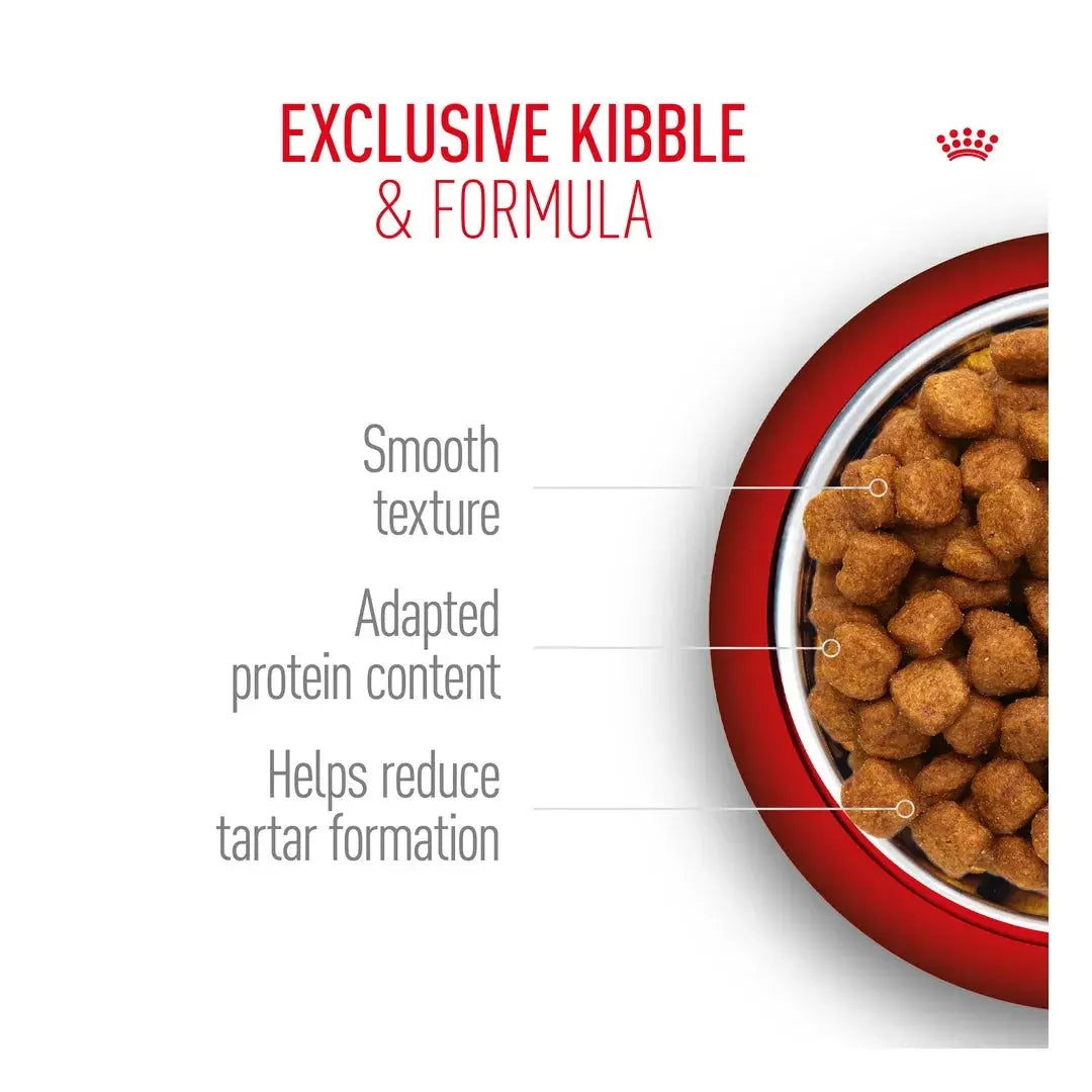 Royal Canin Poodle Adult Dry Dog Food