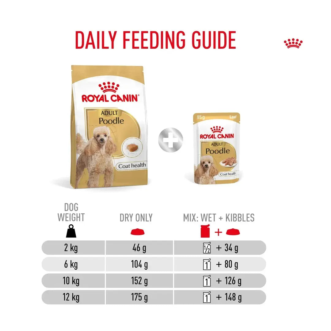 Royal Canin Poodle Adult Dry Dog Food