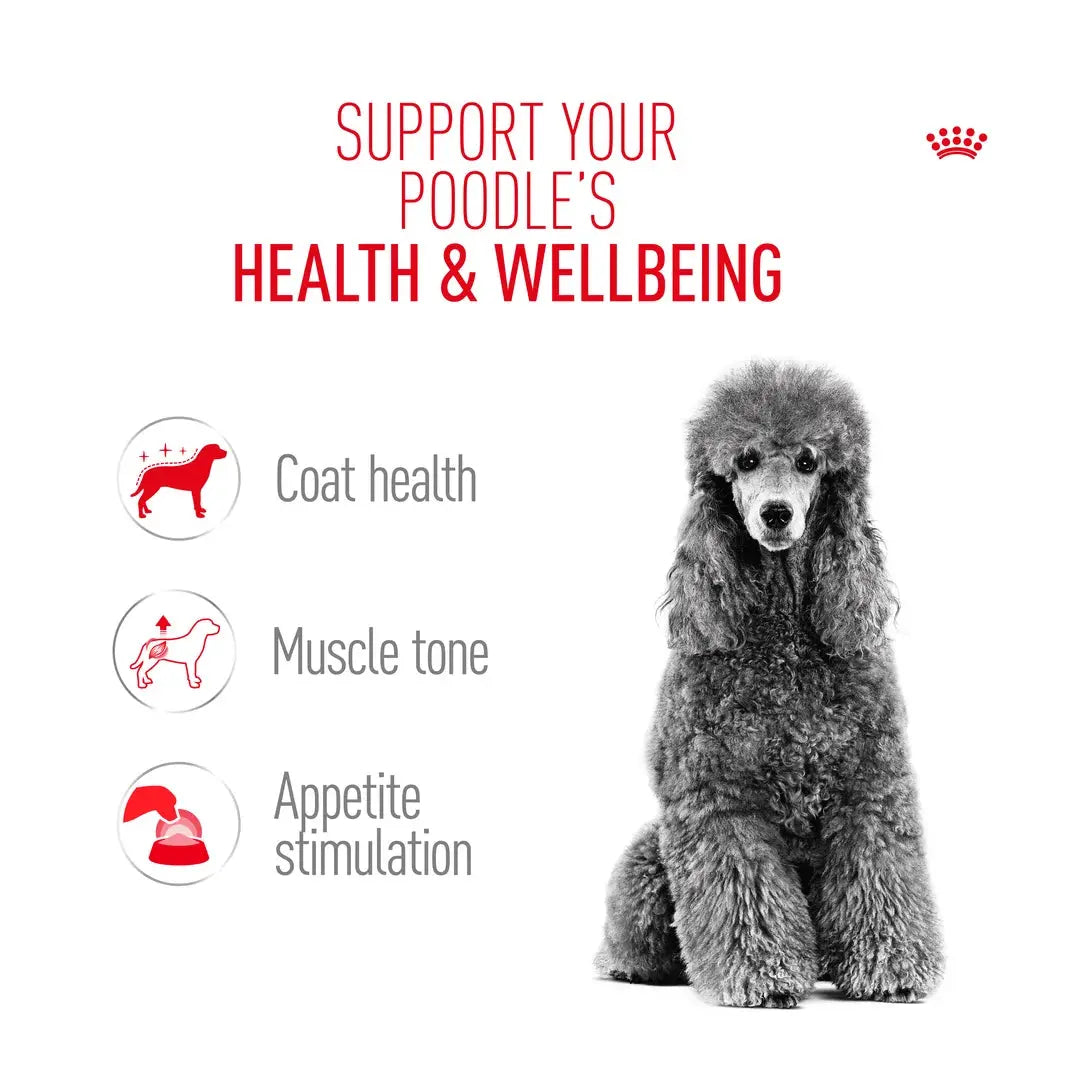 Royal Canin Poodle Adult Wet Dog Food