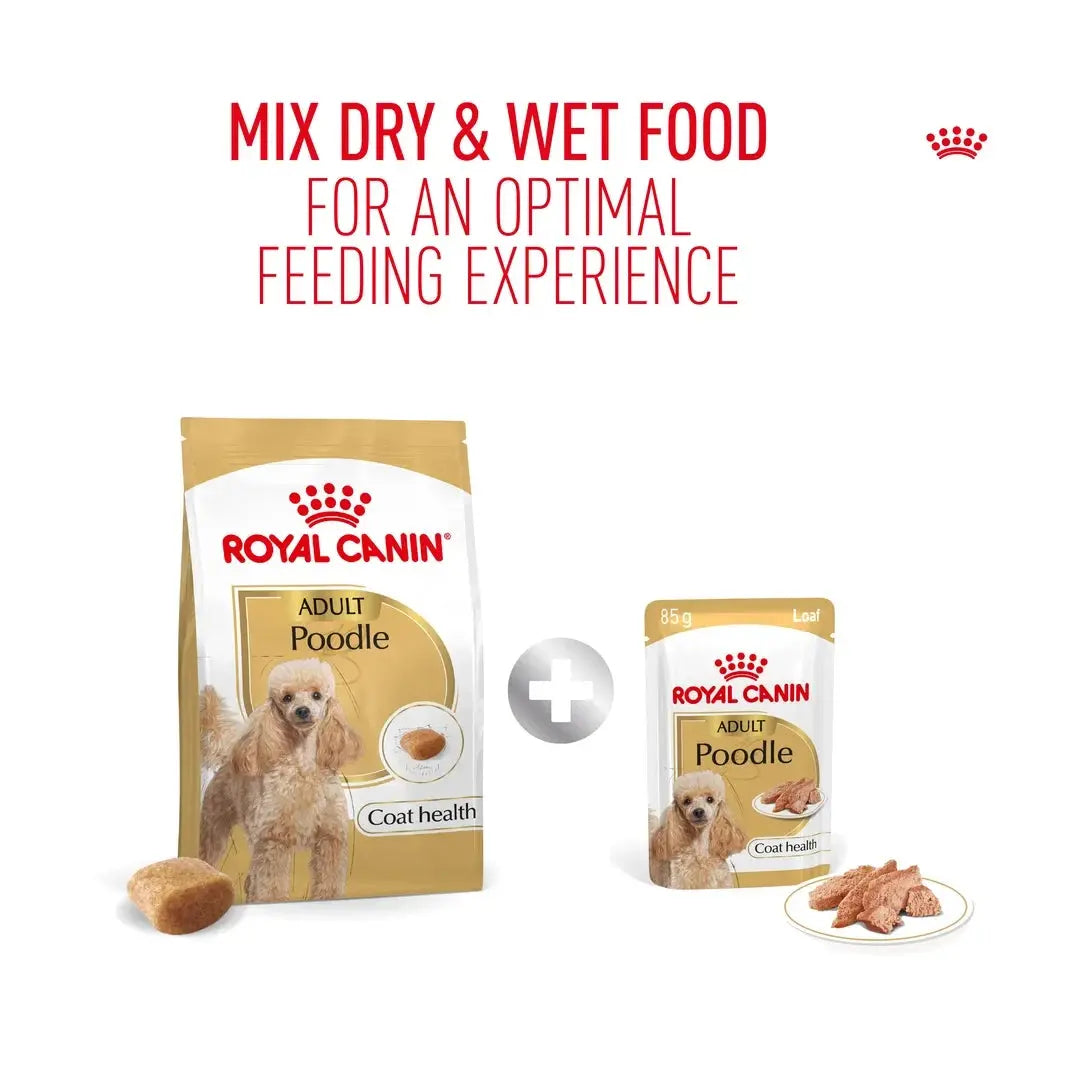Royal Canin Poodle Adult Wet Dog Food