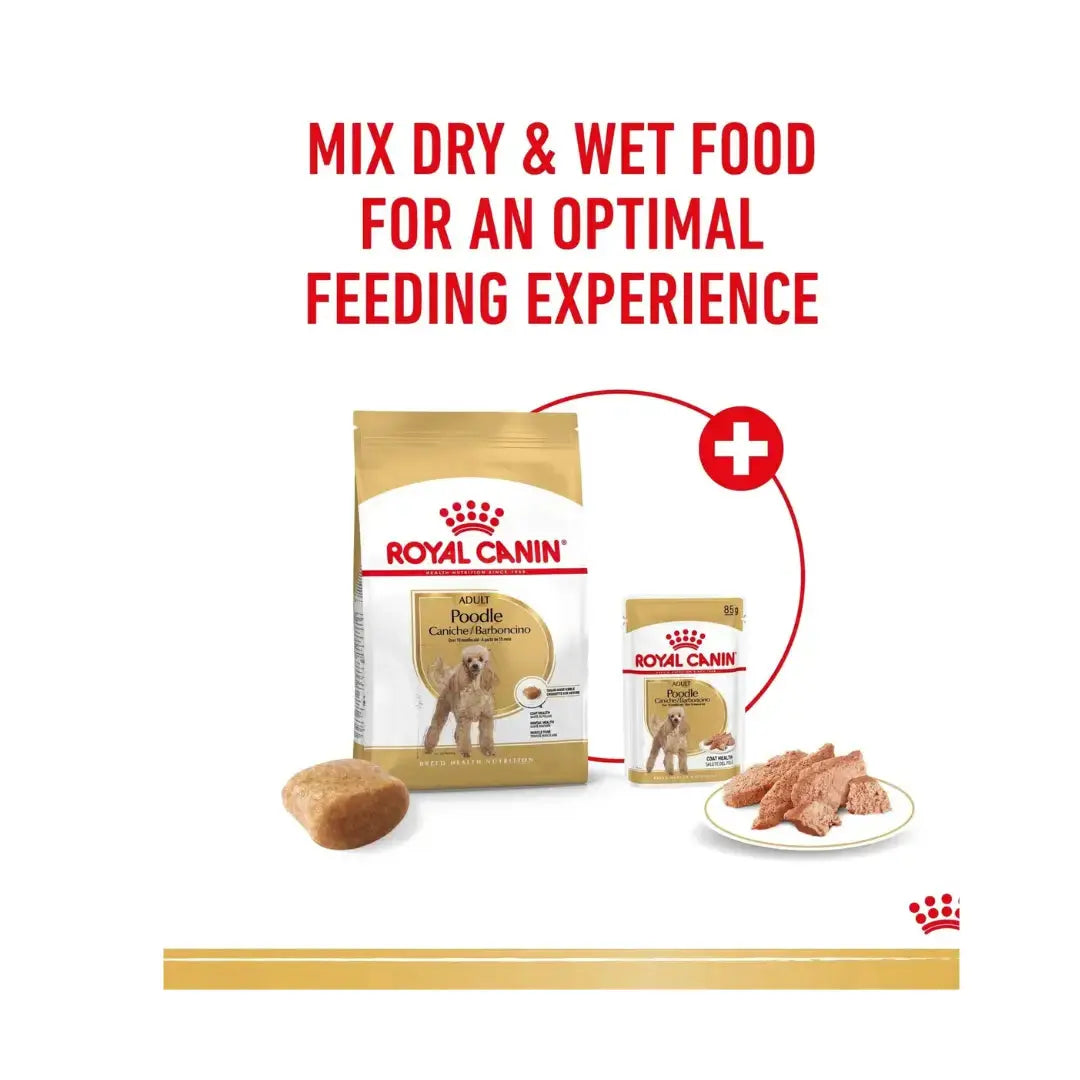 Royal Canin Poodle Adult Wet Dog Food Pouch   | Canine & Co