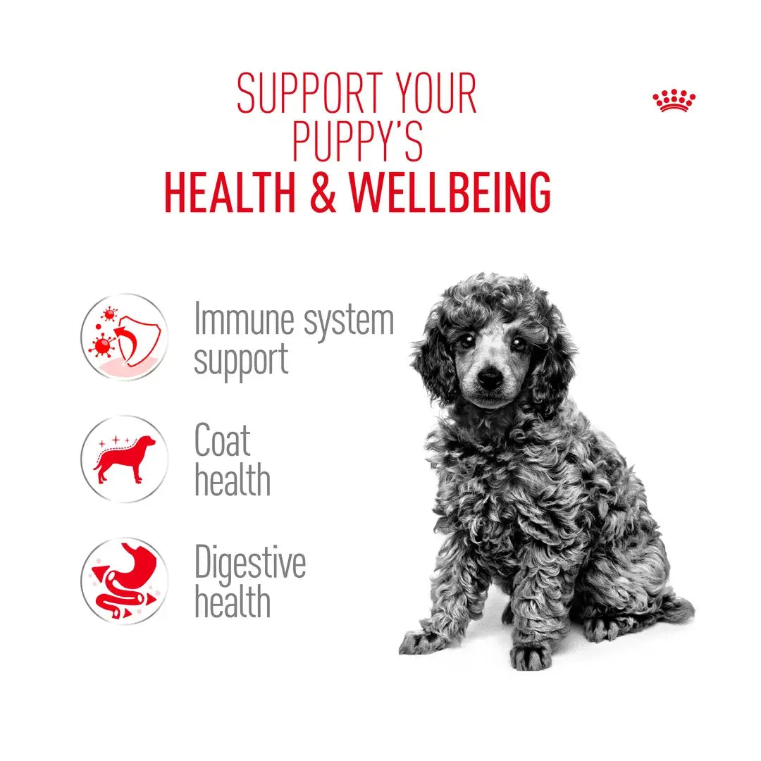 Royal Canin Poodle Puppy Dry Dog Food