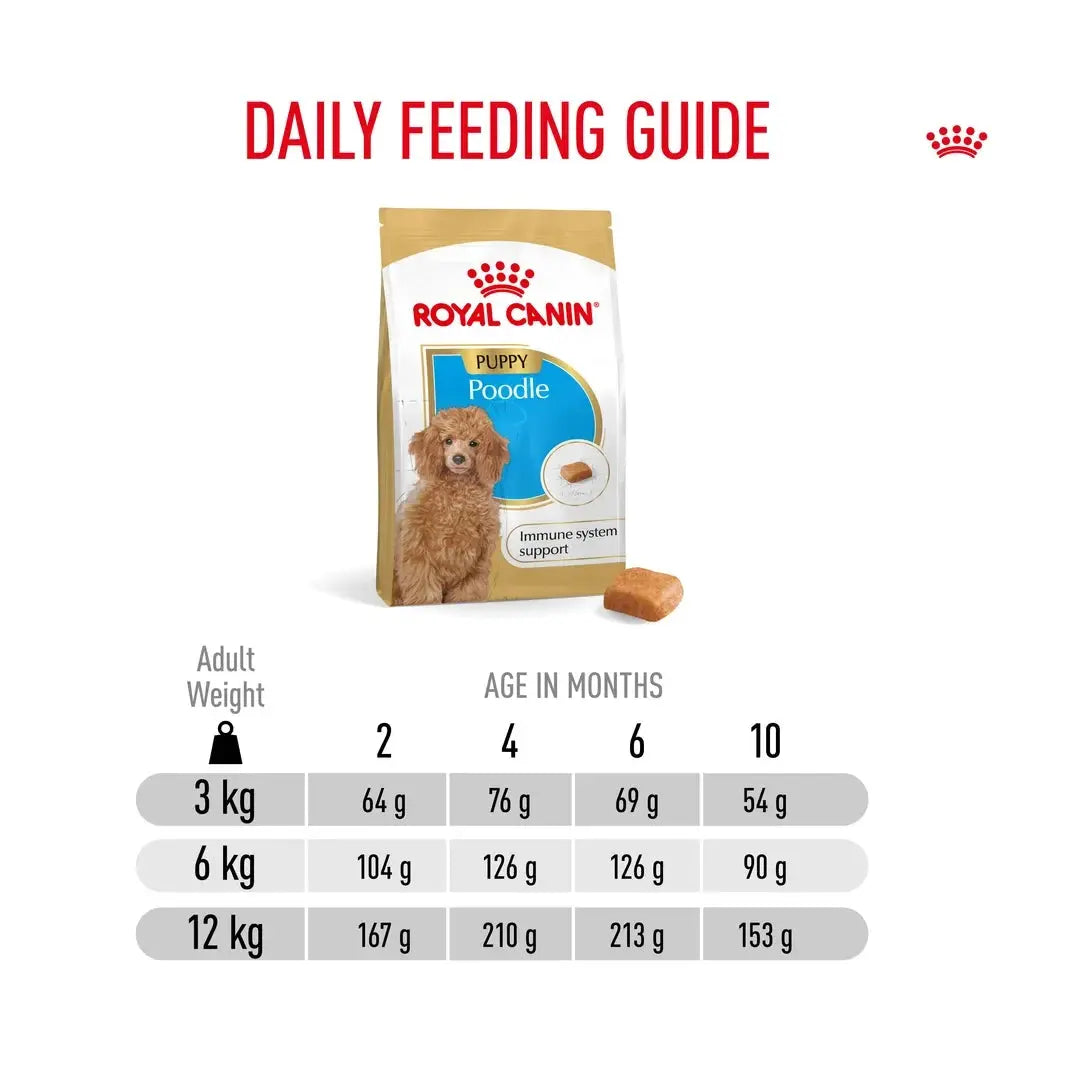 Royal Canin Poodle Puppy Dry Dog Food