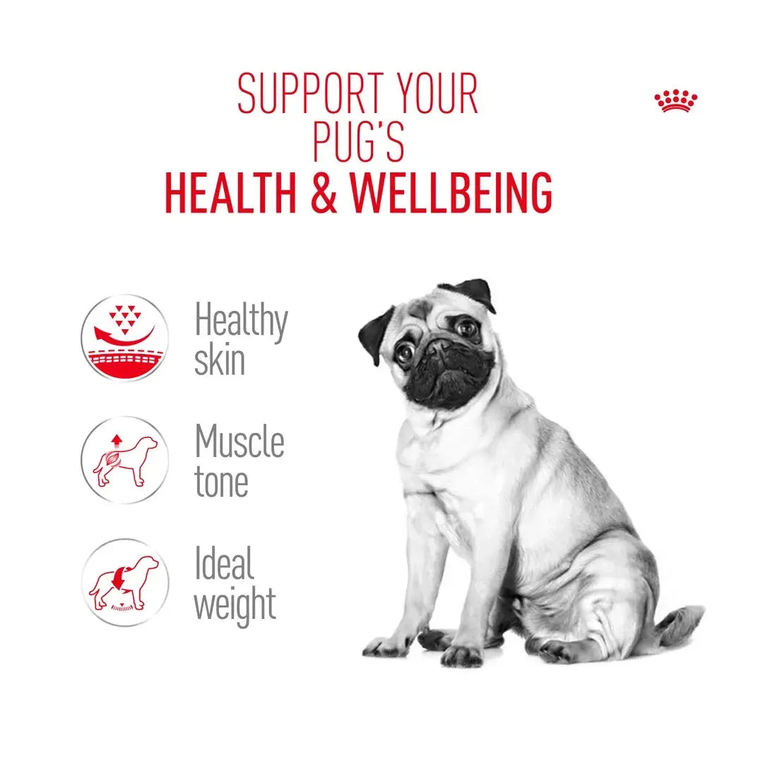 Royal Canin Pug Adult Dry Dog Food