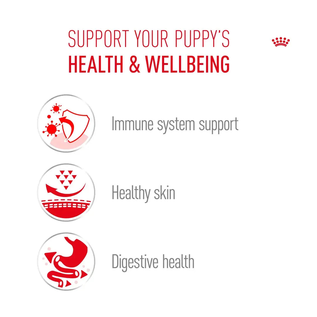 Royal Canin Pug Puppy Dry Dog Food