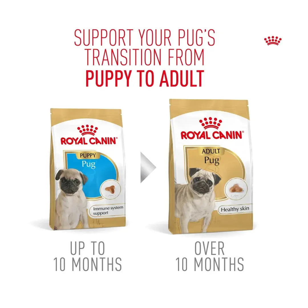 Royal Canin Pug Puppy Dry Dog Food