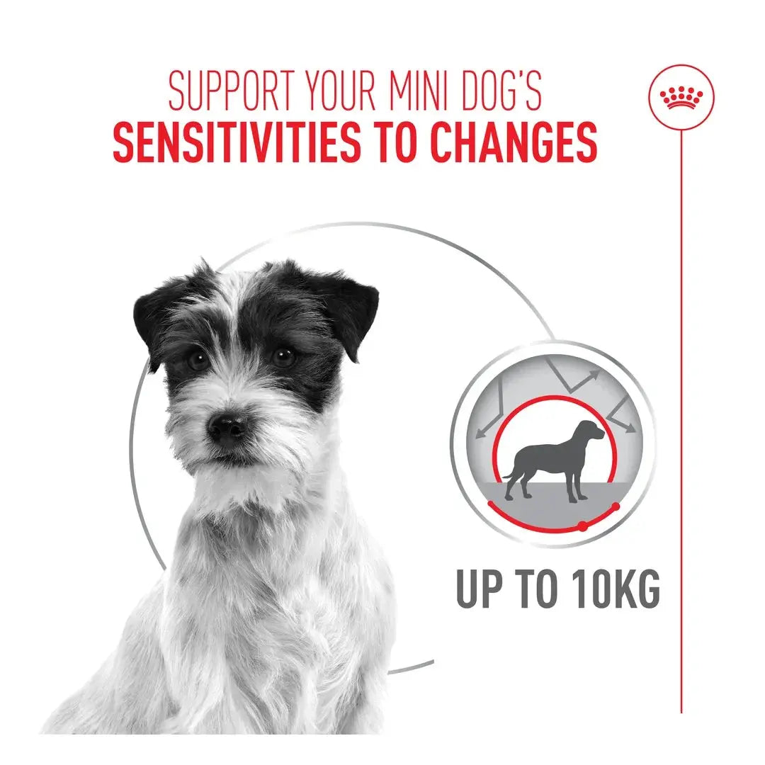 Royal Canin Relax Care Mini Dry Dog Food