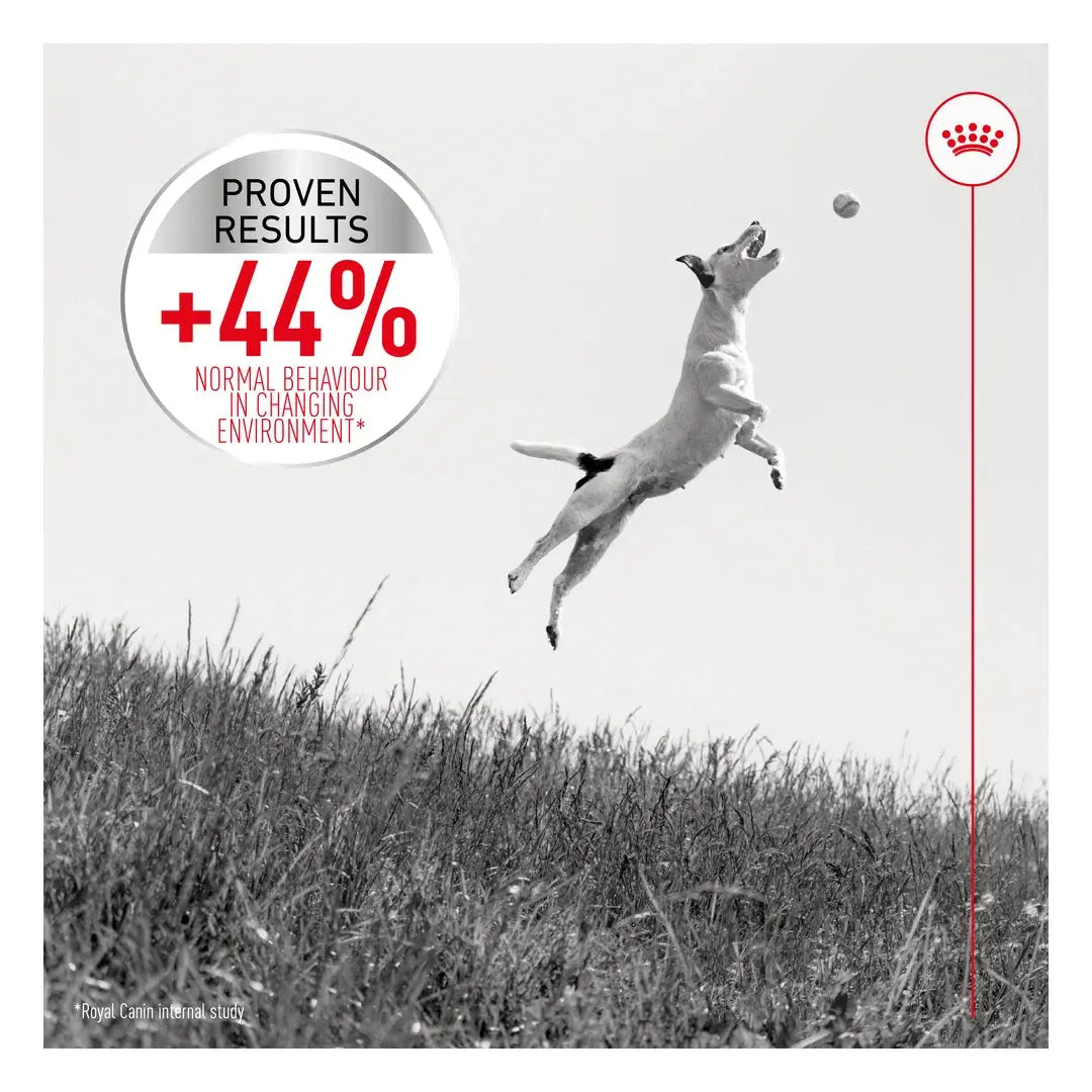 Royal Canin Relax Care Mini Dry Dog Food
