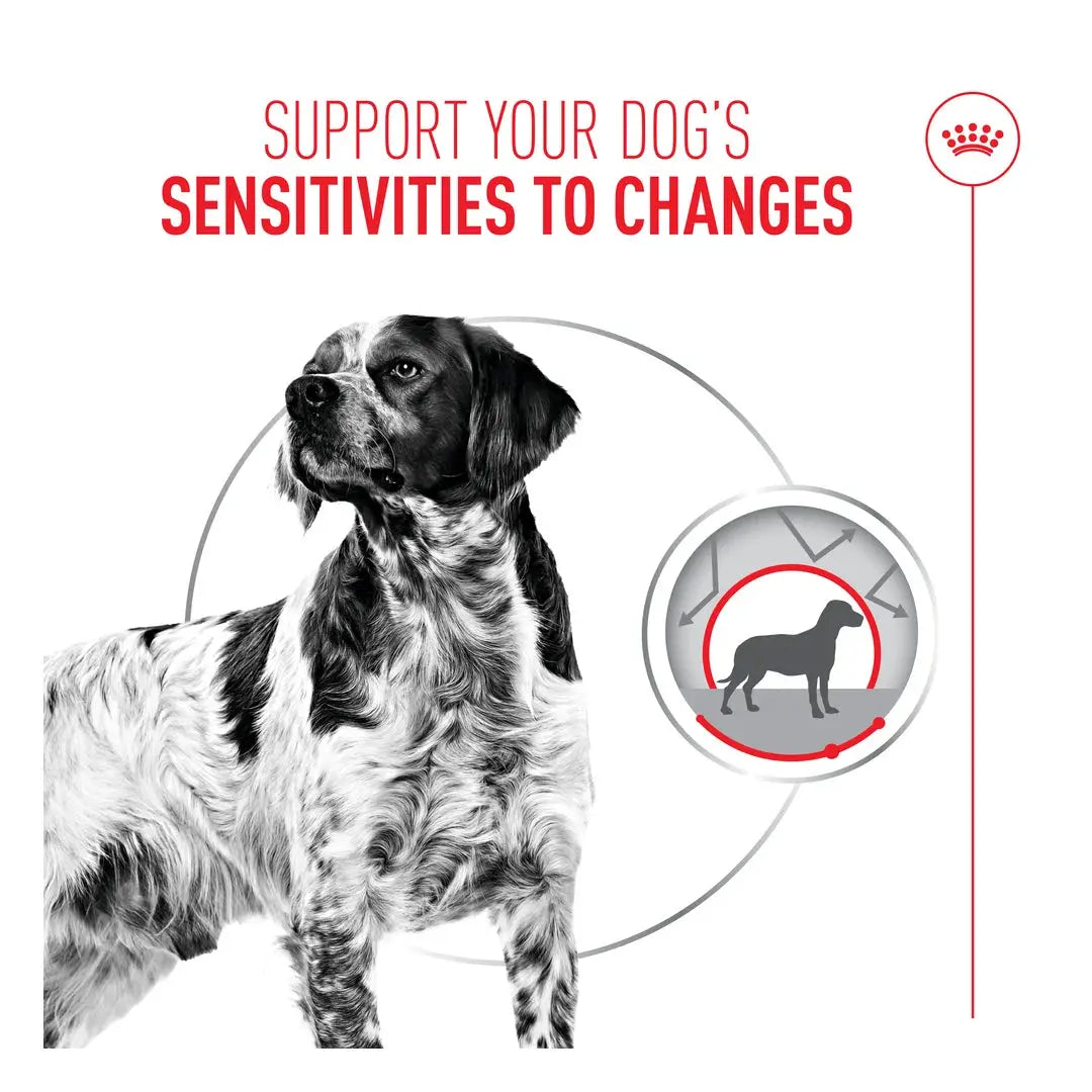 Royal Canin Relax Care Wet Dog Food