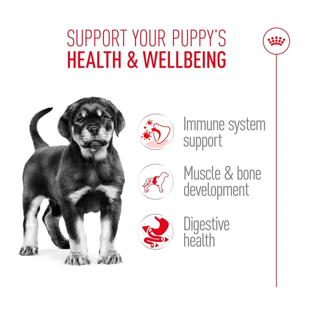 Royal Canin Rottweiler Puppy Dry Dog Food