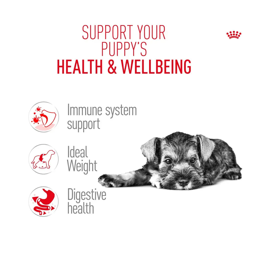 Royal Canin Schnauzer Puppy Dry Dog Food