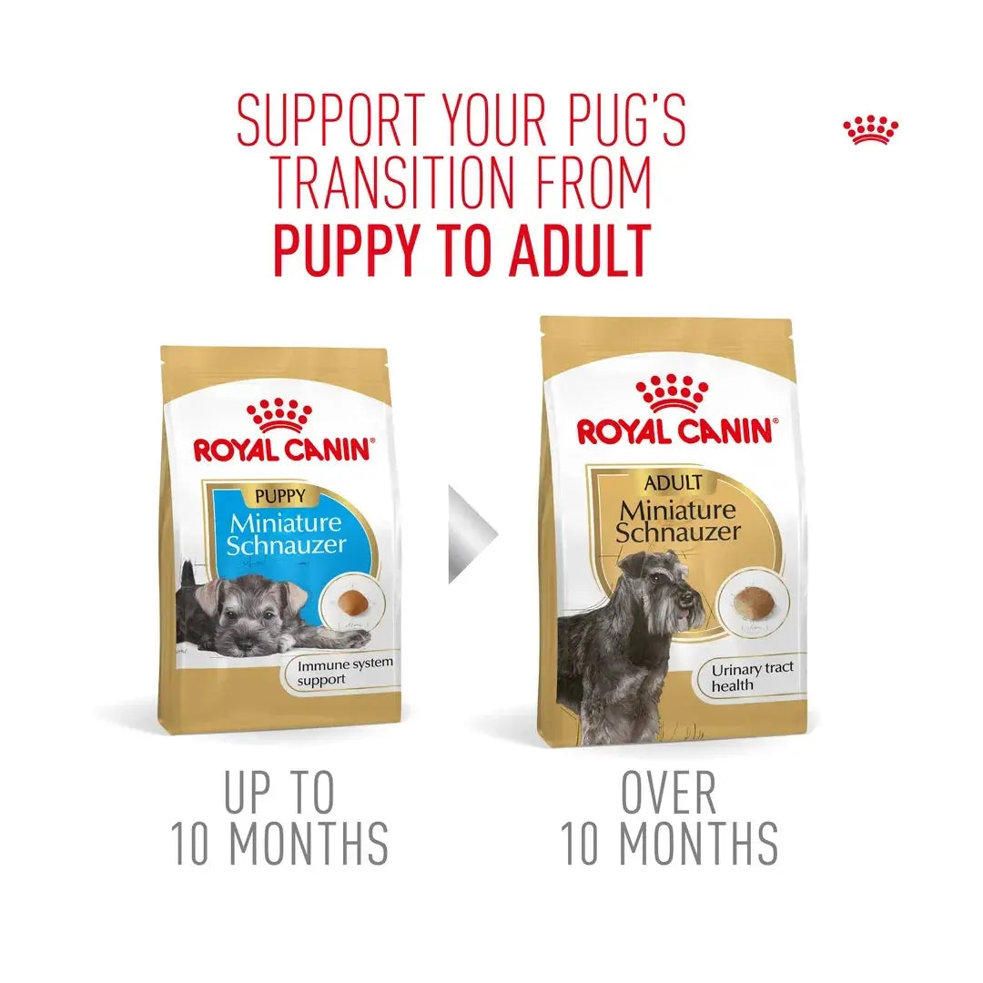 Royal Canin Schnauzer Puppy Dry Dog Food