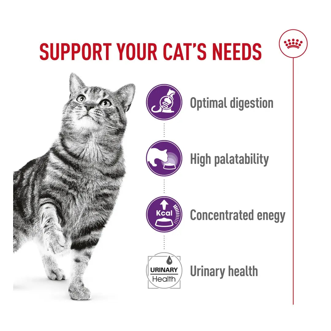 Royal Canin Sensible Dry Cat Food