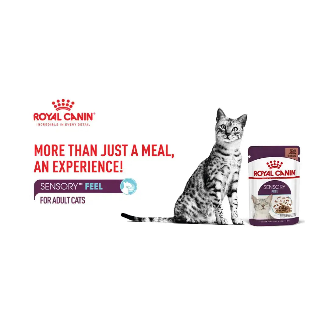 Royal Canin Sensory Feel Morsels In Gravy Cat Wet Cat Food Pouch   | Canine & Co
