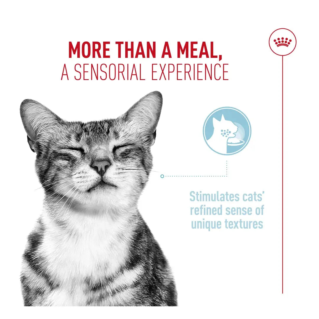 Royal Canin Sensory Feel Morsels In Gravy Cat Wet Cat Food Pouch