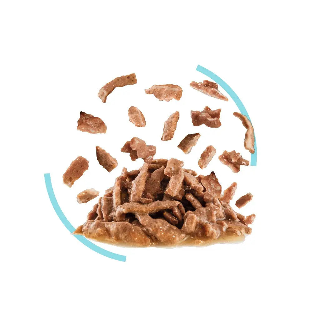 Pet food chunks in a pile, showcasing texture and quality for nutritious feeding options.