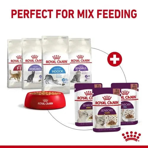 Royal Canin mix feeding options for cats, featuring dry and wet food varieties in vibrant packaging.