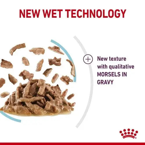 New wet technology featuring morsels in gravy for enhanced texture and flavor.