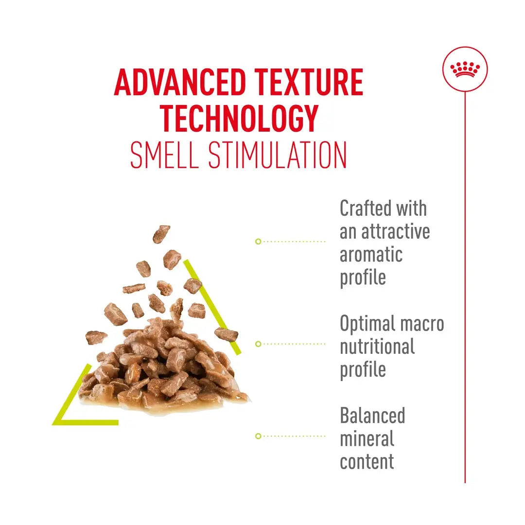 Royal Canin Sensory Smell Chunks In Gravy Cat Wet Cat Food Pouch