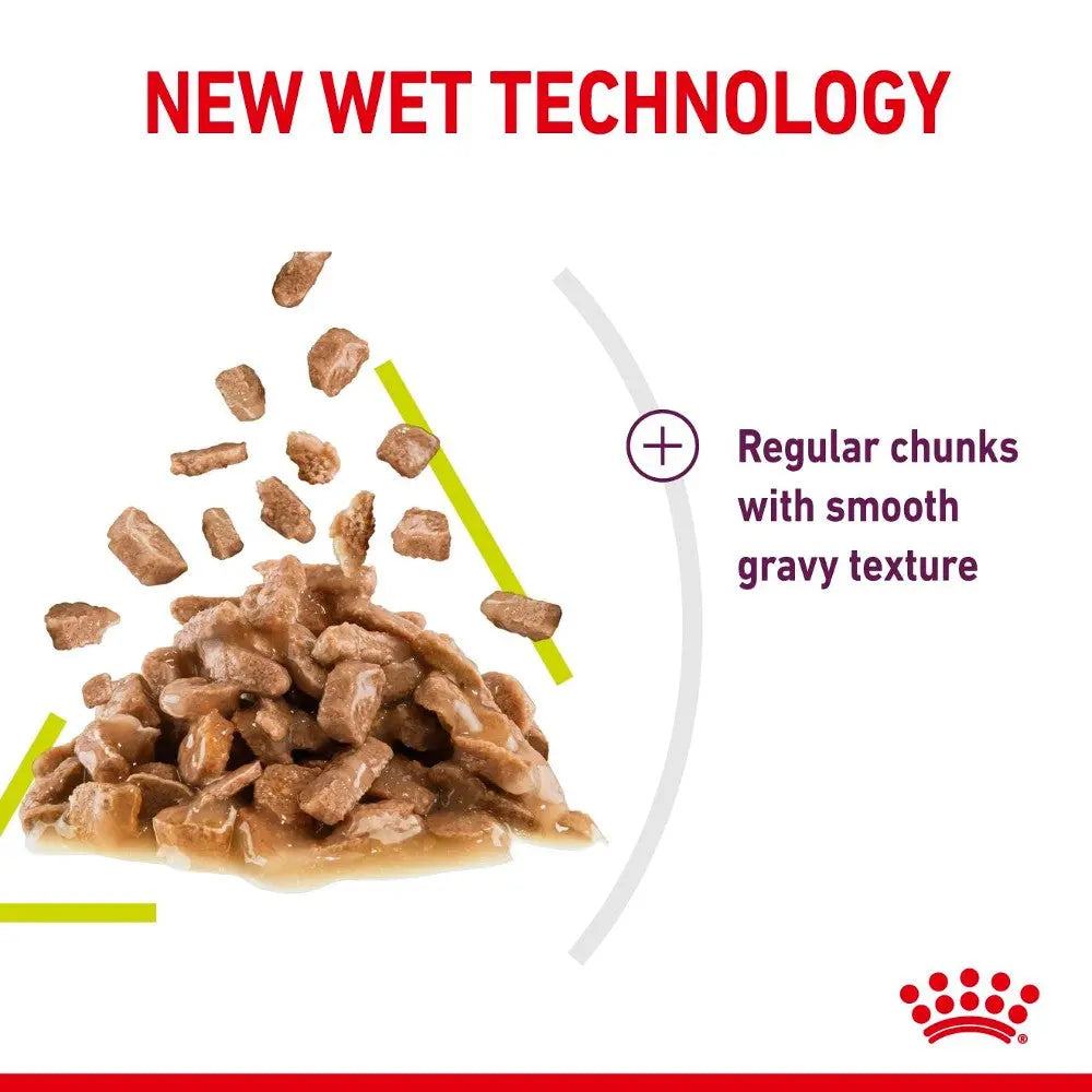 Wet cat food featuring regular chunks in a smooth gravy texture for enhanced flavor and nutrition.