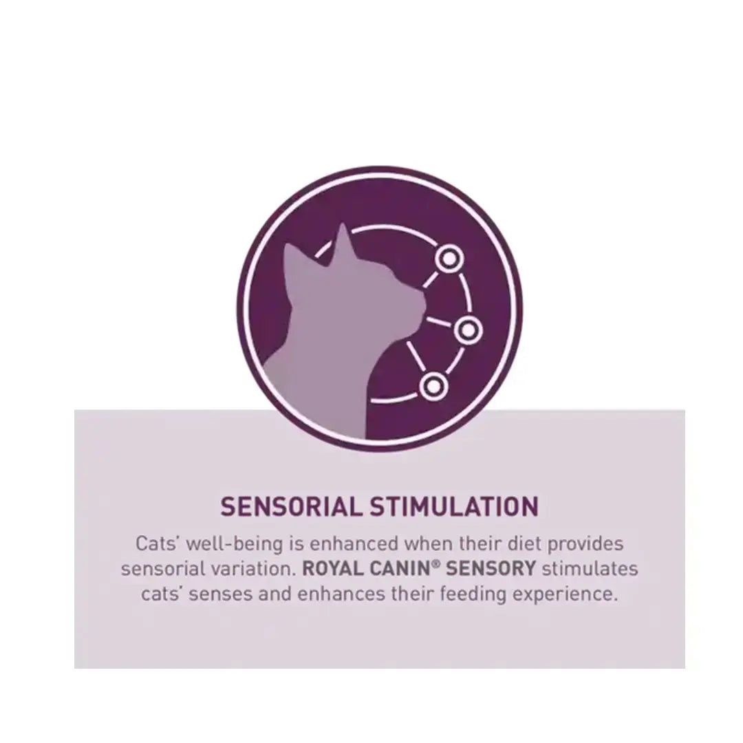 Royal Canin Sensory Taste Chunks In Gravy Cat Wet Cat Food Pouch   | Canine & Co