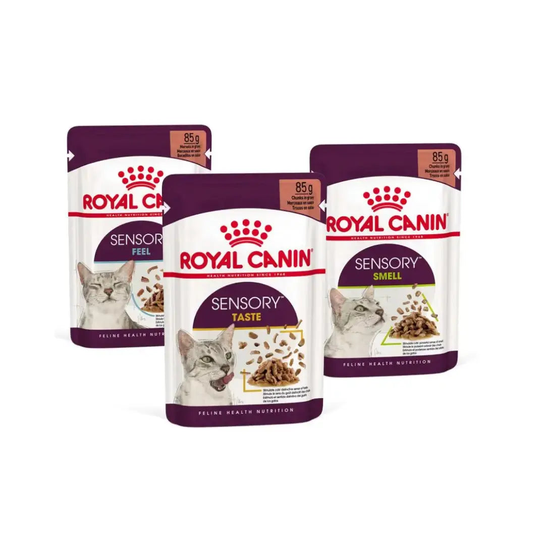 Royal Canin Sensory Taste Chunks In Gravy Cat Wet Cat Food Pouch   | Canine & Co