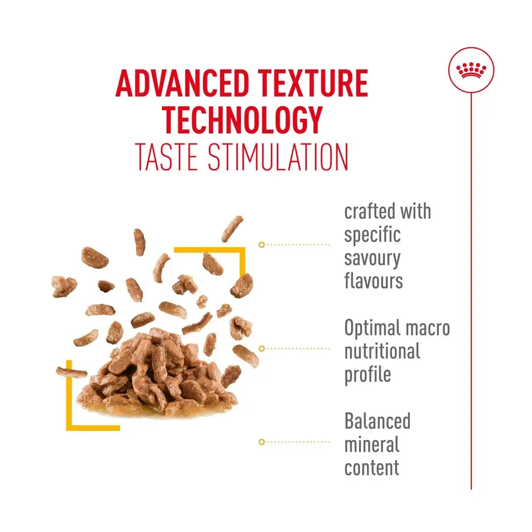 Royal Canin Sensory Taste Chunks In Gravy Cat Wet Cat Food Pouch