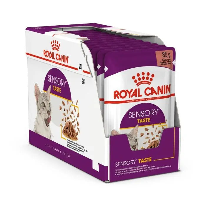 Royal Canin Sensory Taste cat food pouches in a convenient packaging for enhanced feline nutrition.
