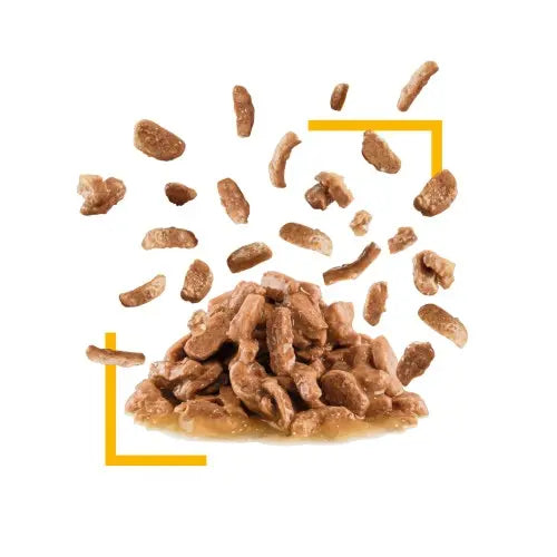 Tender cat food chunks in gravy, showcasing a delicious and nutritious meal option for your feline friend.