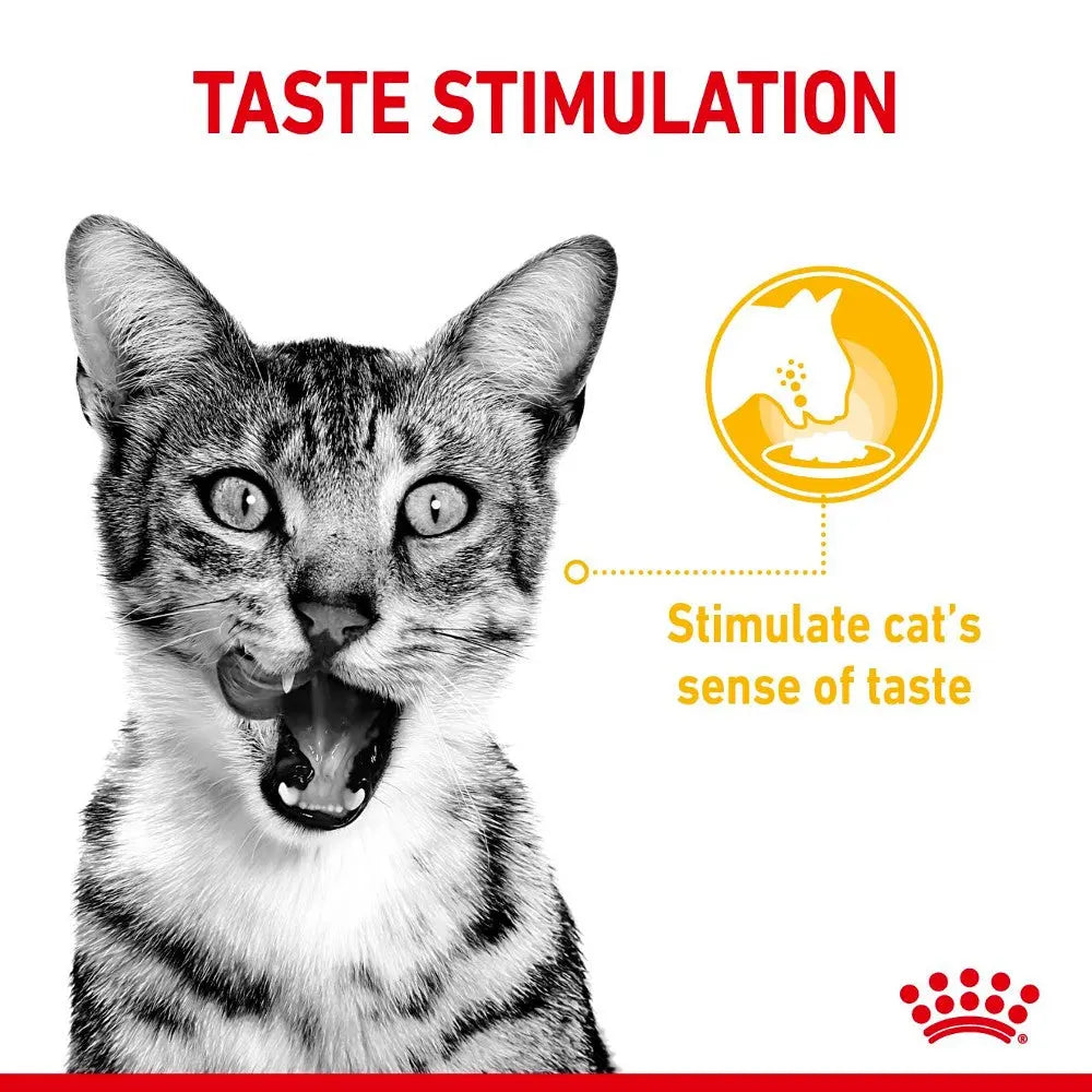 Cat enjoying food with a focus on taste stimulation and sensory engagement.