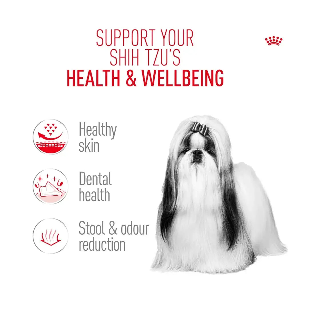 Royal Canin Shih Tzu Adult Dry Dog Food