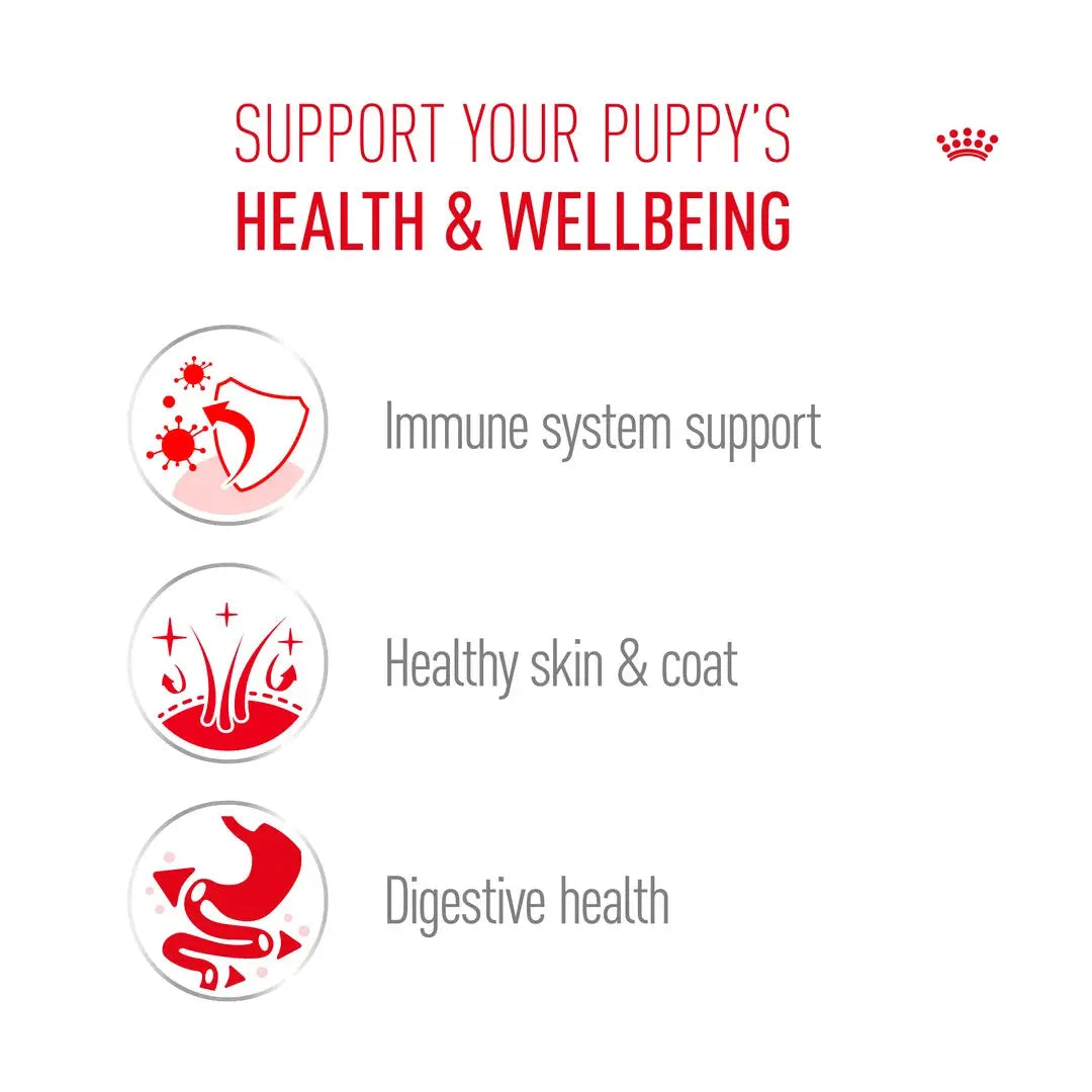 Royal Canin Shih Tzu Puppy Dry Dog Food