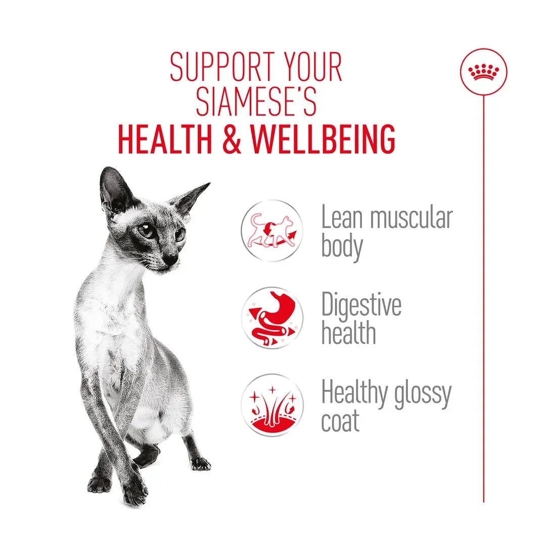 Royal Canin Siamese Dry Cat Food