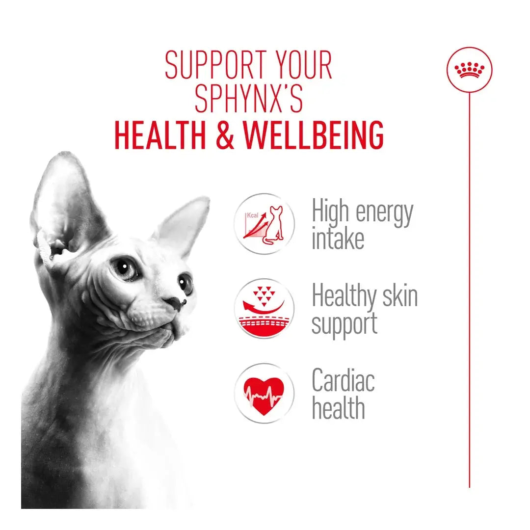Royal Canin Sphynx Dry Cat Food