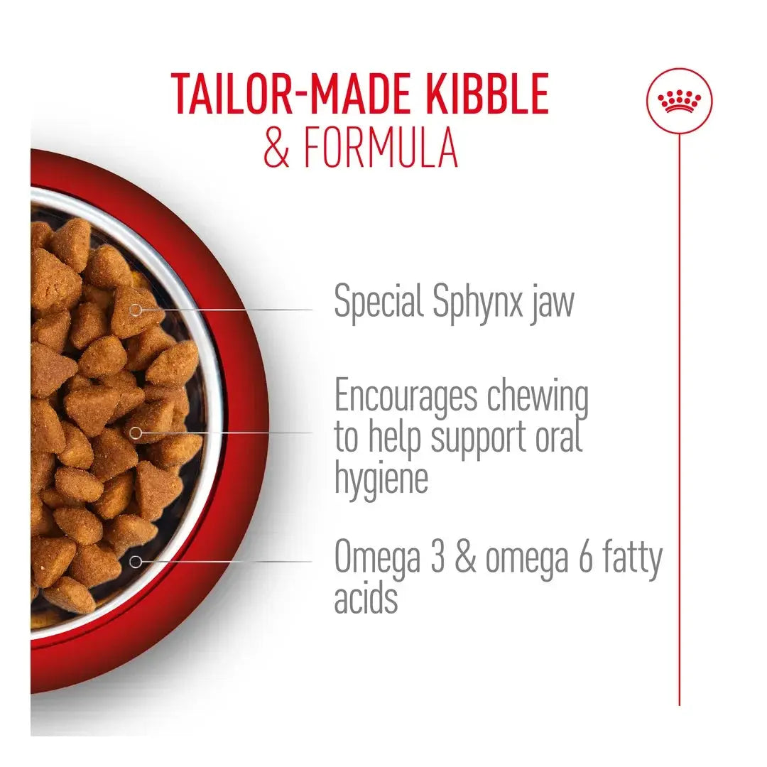 Royal Canin Sphynx Dry Cat Food
