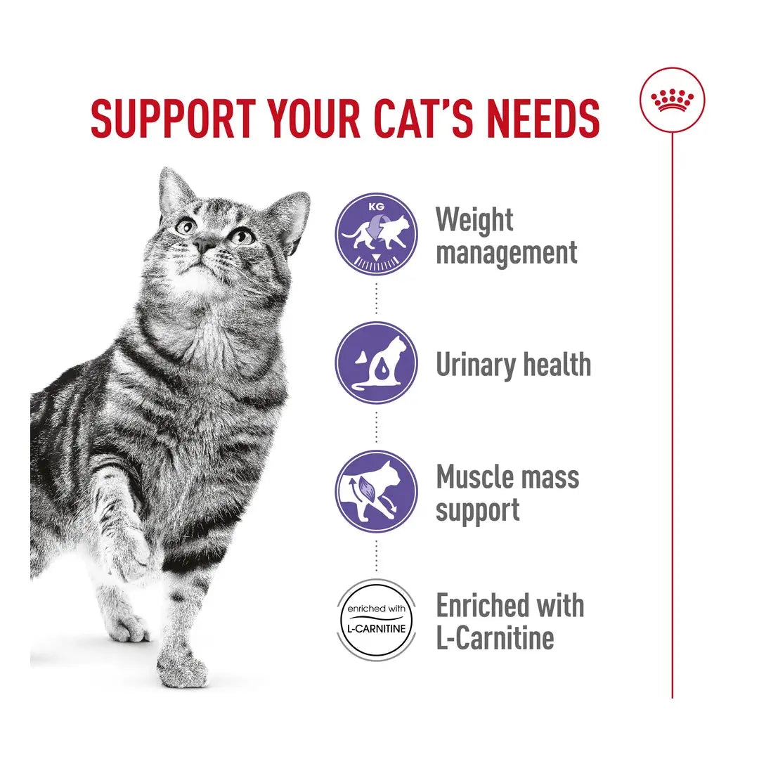 Royal Canin Sterilised 37 Dry Cat Food