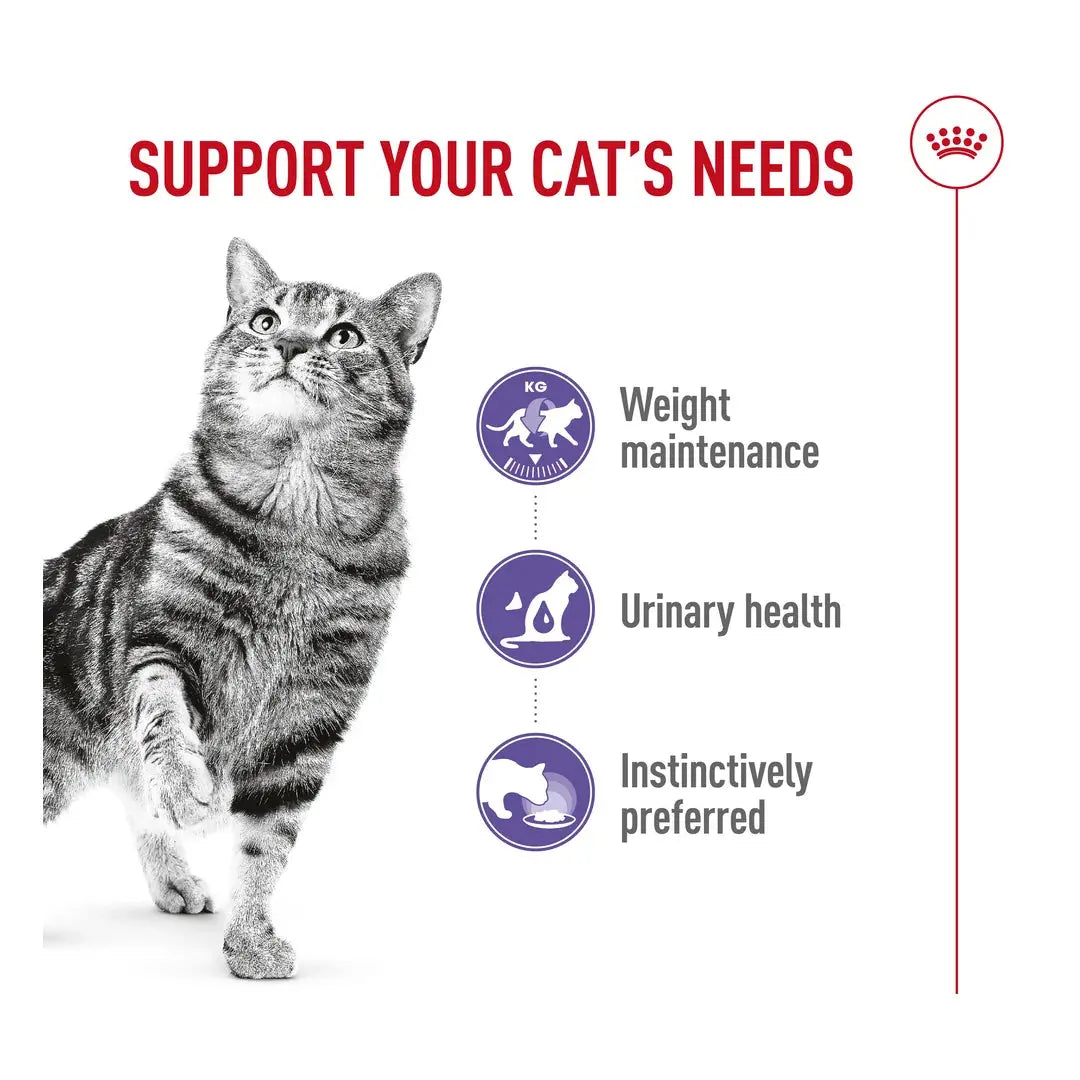 Royal Canin Sterilised Cat Wet Cat Food Pouch