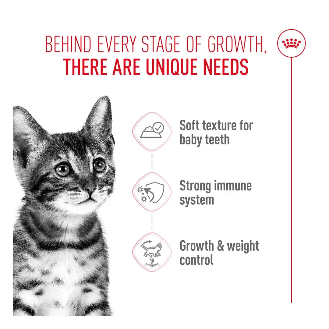 Royal Canin Sterilised Kitten Chunks in Gravy Wet Cat Food