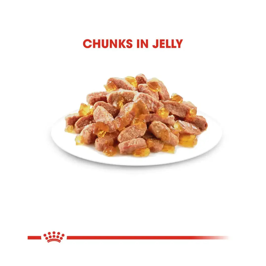Royal Canin Sterilised Kitten Chunks in Jelly Wet Cat Food   | Canine & Co