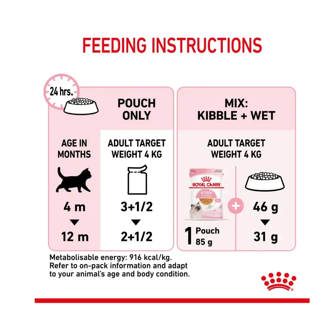 Royal Canin Sterilised Kitten Chunks in Jelly Wet Cat Food   | Canine & Co