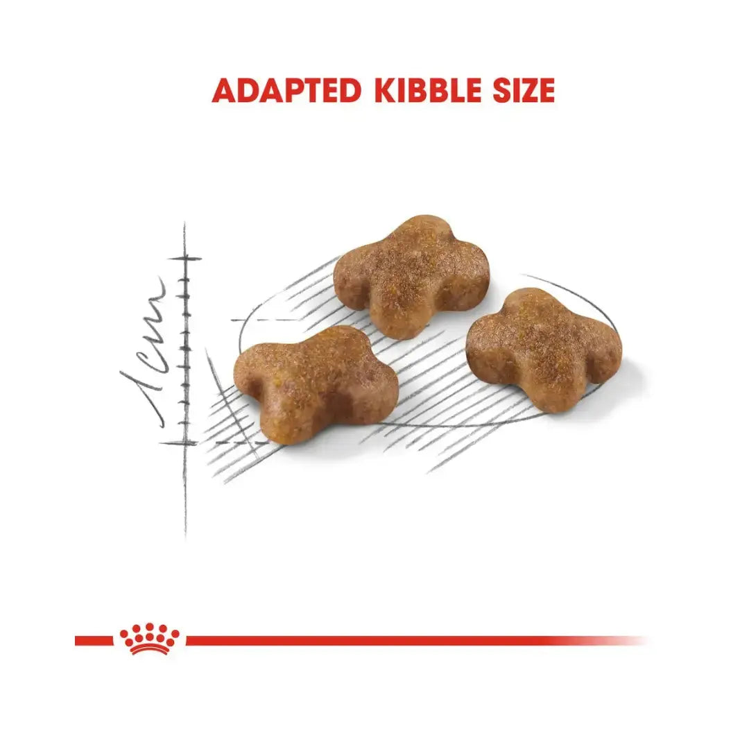 Royal Canin Sterilised Kitten Dry Cat Food   | Canine & Co