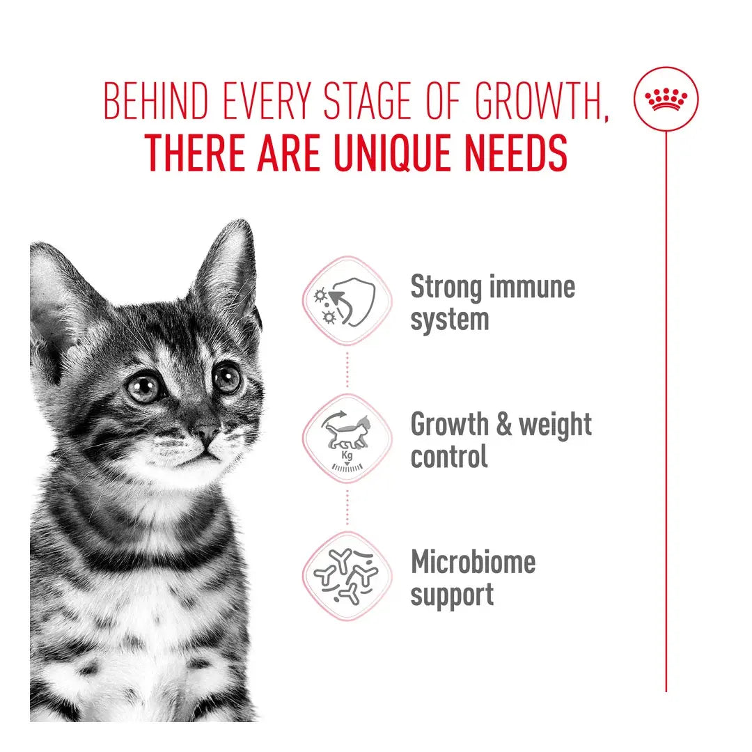 Royal Canin Sterilised Kitten Dry Cat Food