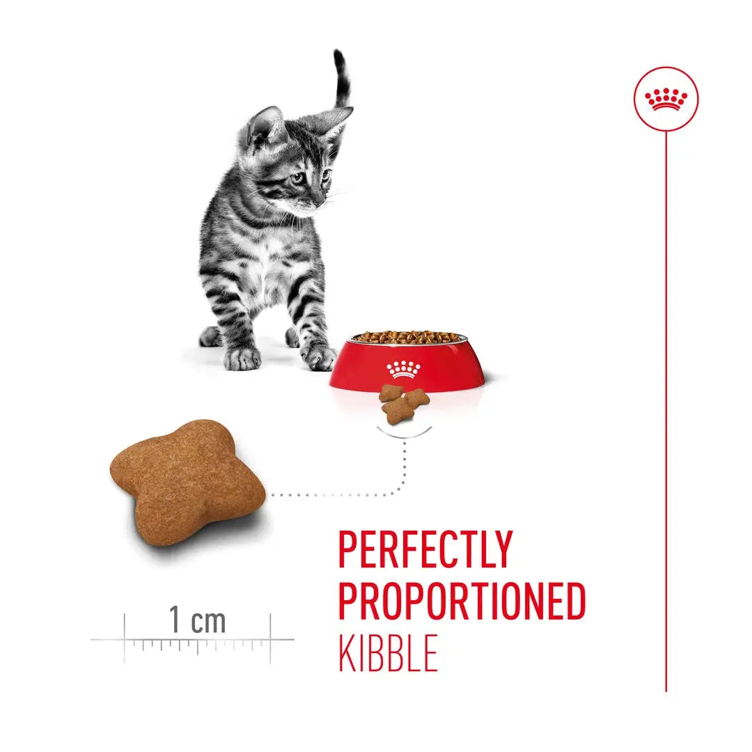 Royal Canin Sterilised Kitten Dry Cat Food