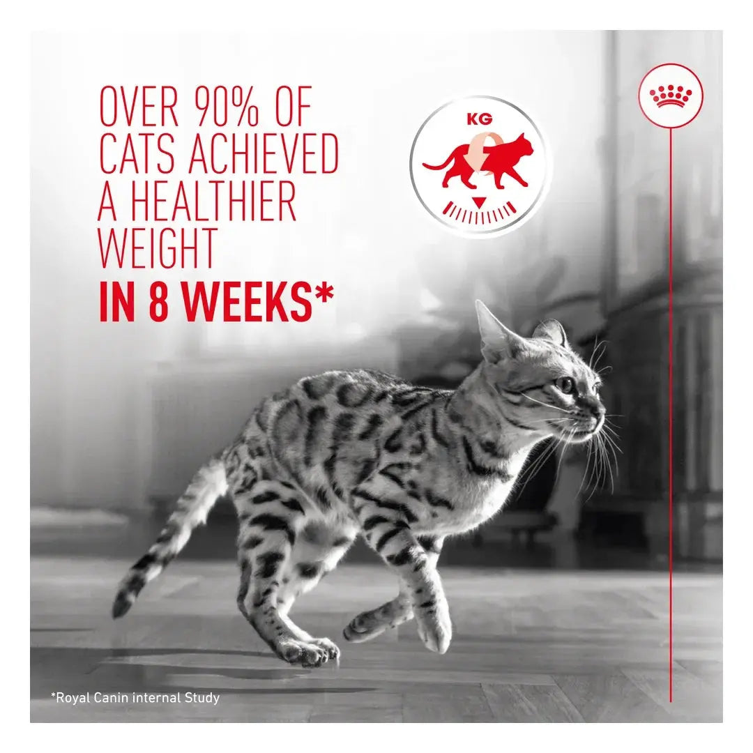 Royal Canin Ultra Light Cat Wet Cat Food Pouch