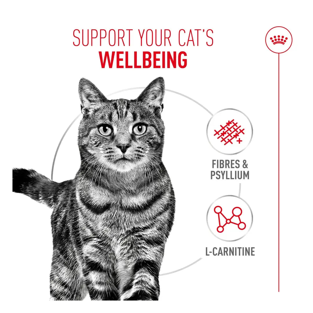 Royal Canin Ultra Light Cat Wet Cat Food Pouch