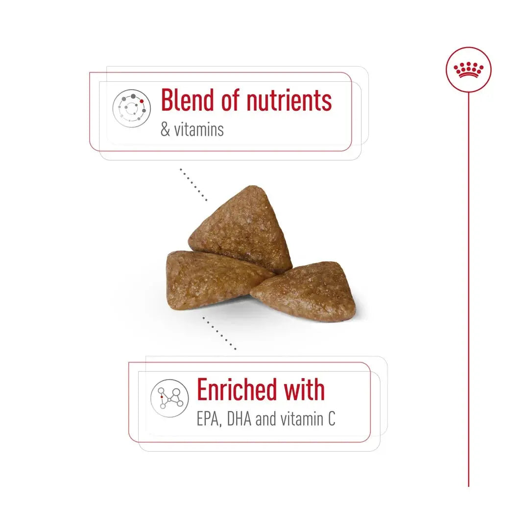 Royal Canin X Small Adult Dog Ageing 12+ Dry Dog Food